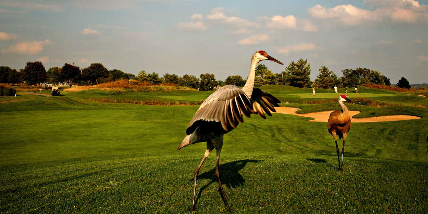 Destination Geneva National