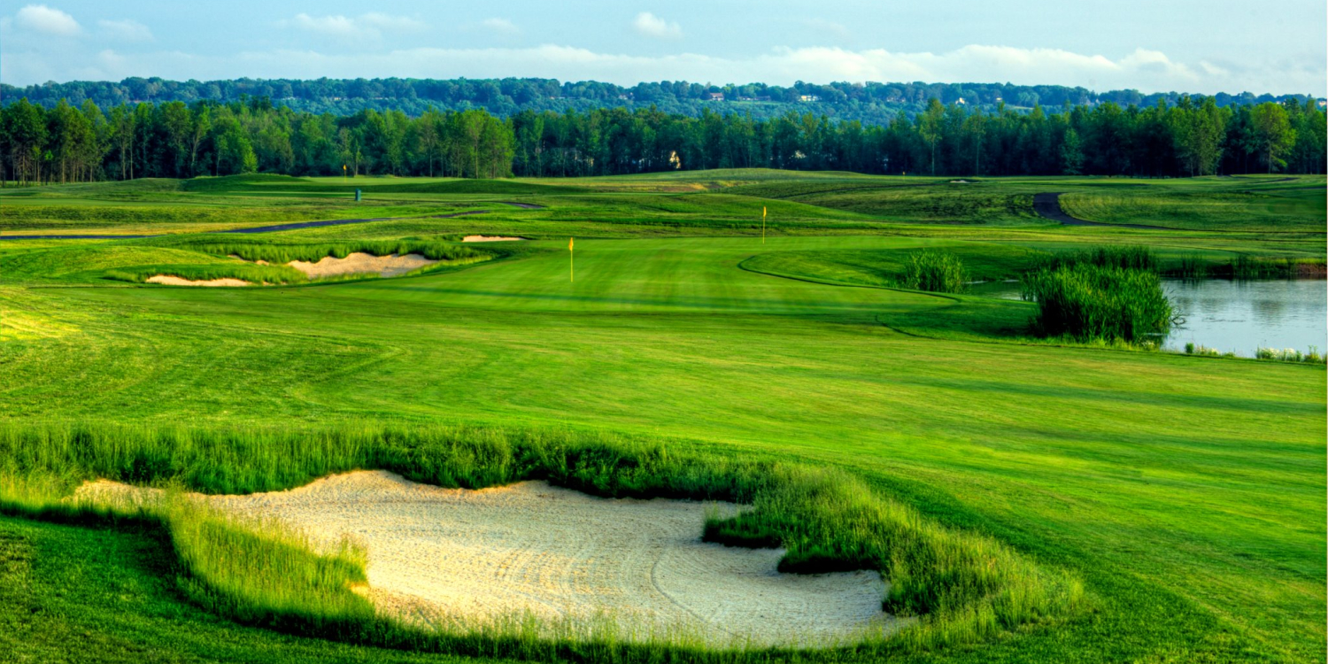 Seneca Hickory Stick