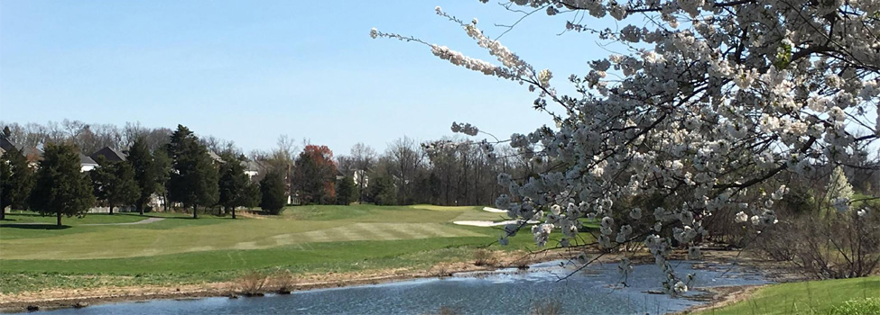 South Riding Golfers Club