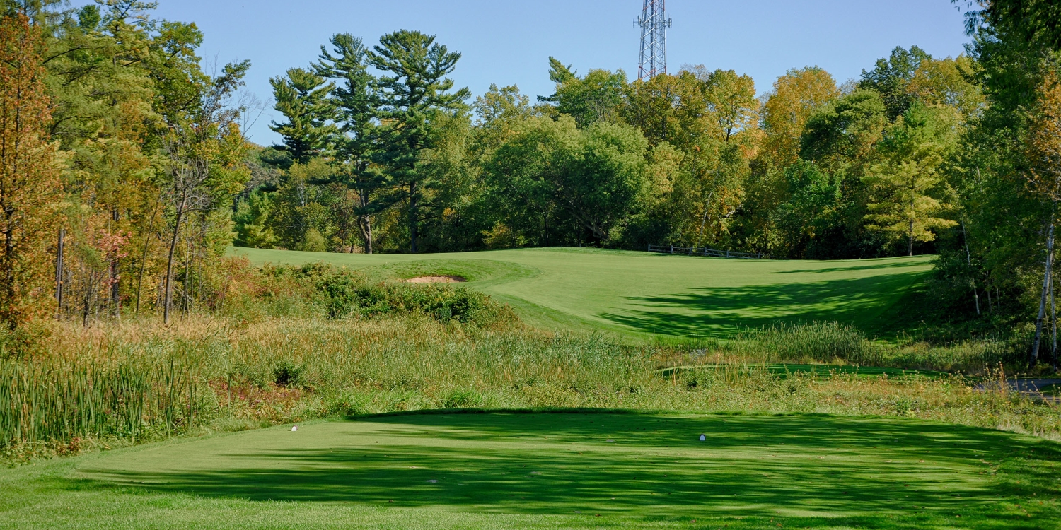 The Bull At Pinehurst Farms