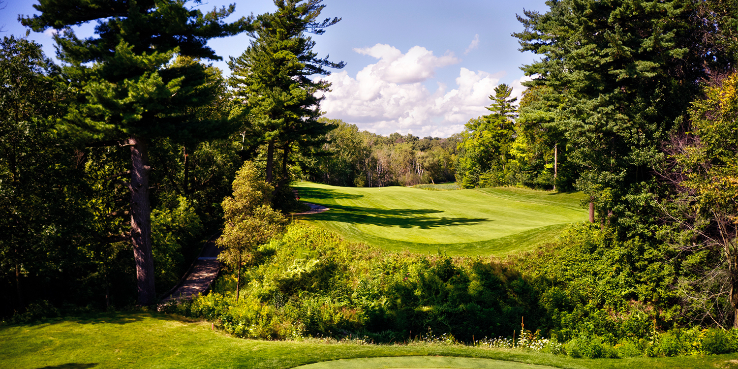The Bull At Pinehurst Farms